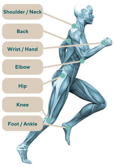 Shoulder Neck physical medicine clinic Los Angeles